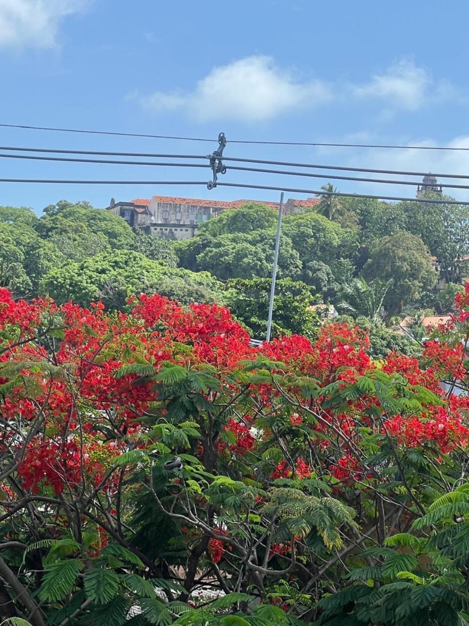 Pousada Do Leo Olinda Exterior photo